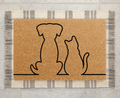 Dog and Cat